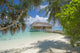 Tropical Island Resort