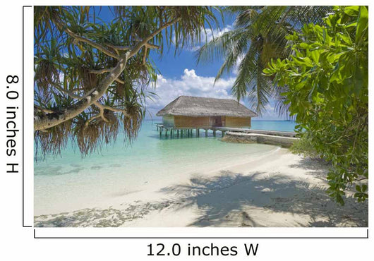 Tropical Island Resort