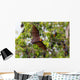 Full open wings of flying male Lyle's flying fox Wall Mural