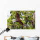 Full open wings of flying male Lyle's flying fox Wall Mural