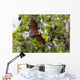 Full open wings of flying male Lyle's flying fox Wall Mural