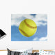 Softball Wall Mural