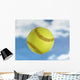 Softball Wall Mural