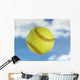Softball Wall Mural