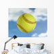 Softball Wall Mural
