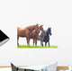 Wild Horses Graze Green
