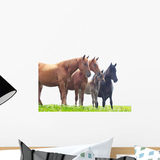 Wild Horses Graze Green