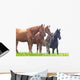 Wild Horses Graze Green
