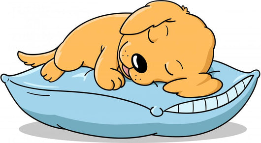 Sleeping Puppy