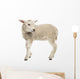 Sheep Lamb Wall Decal