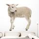 Sheep Lamb Wall Decal
