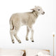 Baby Sheep Lamb Wall Decal