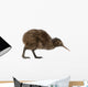 Kiwi Bird Wall Decal