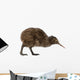 Kiwi Bird Wall Decal