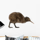 Kiwi Bird Wall Decal