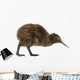 Kiwi Bird Wall Decal