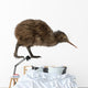 Kiwi Bird Wall Decal