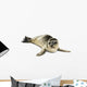 Common Seal Pup White