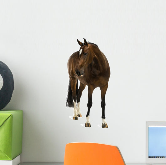 Rheinlander Horse Wall Decal