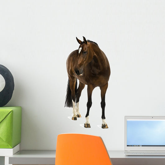 Rheinlander Horse Wall Decal