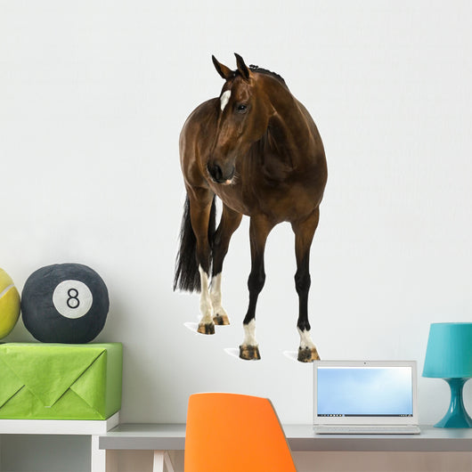 Rheinlander Horse Wall Decal