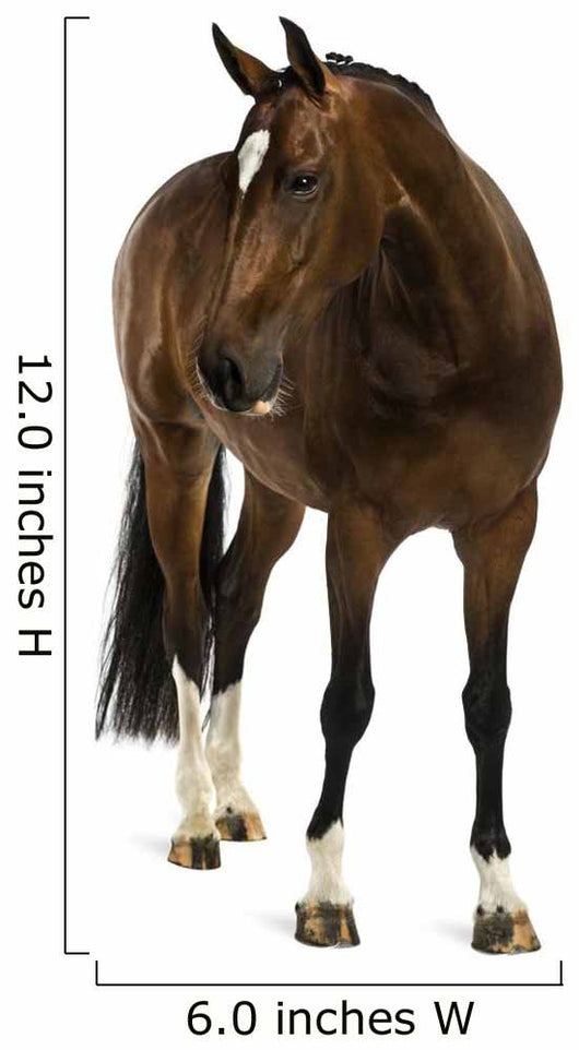 Rheinlander Horse Wall Decal