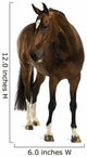 Rheinlander Horse Wall Decal