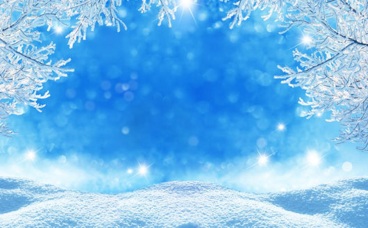 Winter Christmas