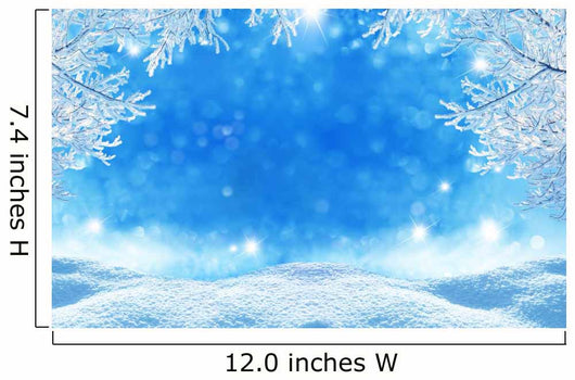 Winter Christmas