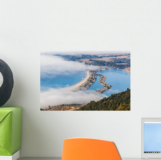 The Beach - Stinson Wall Mural
