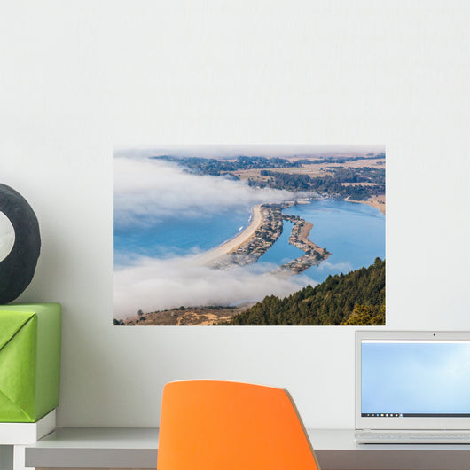 The Beach - Stinson Wall Mural