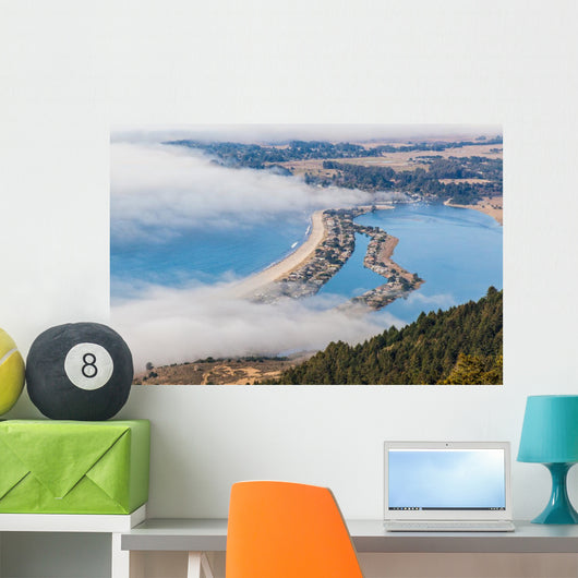 The Beach - Stinson Wall Mural