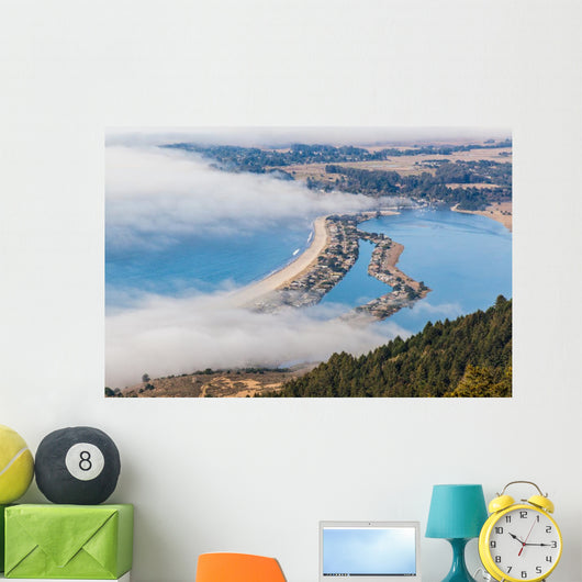 The Beach - Stinson Wall Mural