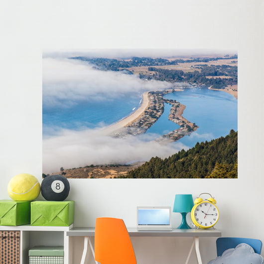 The Beach - Stinson Wall Mural
