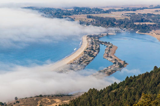 The Beach - Stinson Wall Mural