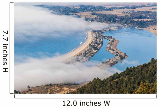 The Beach - Stinson Wall Mural