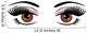 Eyes Wall Mural