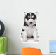 Little Husky Puppy Wall Decal