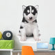 little husky puppy Wall Decal