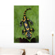 Salamander lizard Wall Mural