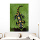 Salamander lizard Wall Mural