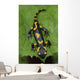 Salamander lizard Wall Mural