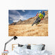 all mountain Wall Mural