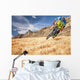 all mountain Wall Mural