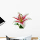 white and pink lily with brown pollen Wall Decal