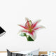 white and pink lily with brown pollen Wall Decal
