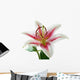 white and pink lily with brown pollen Wall Decal
