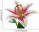 white and pink lily with brown pollen Wall Decal