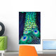 Textures and colors of the peacock Wall Mural