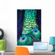 Textures and colors of the peacock Wall Mural